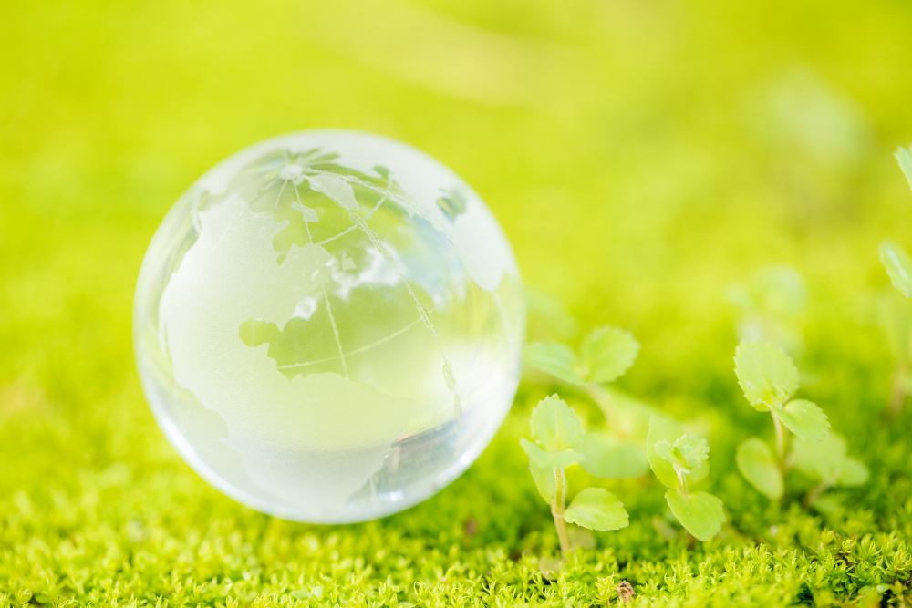 close-up-glass-globe-forest