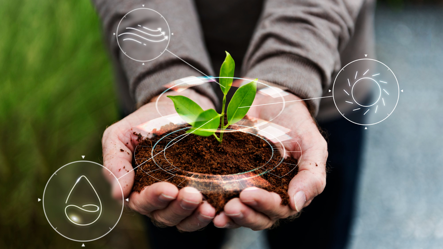 smart-agriculture-iot-with-hand-planting-tree-background (1)